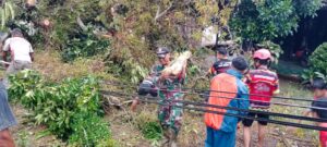 Serda Harun dan BPBD Kabupaten Hulu Sungai Tengah Serta Relawan Evakuasi Pohon Tumbang.
