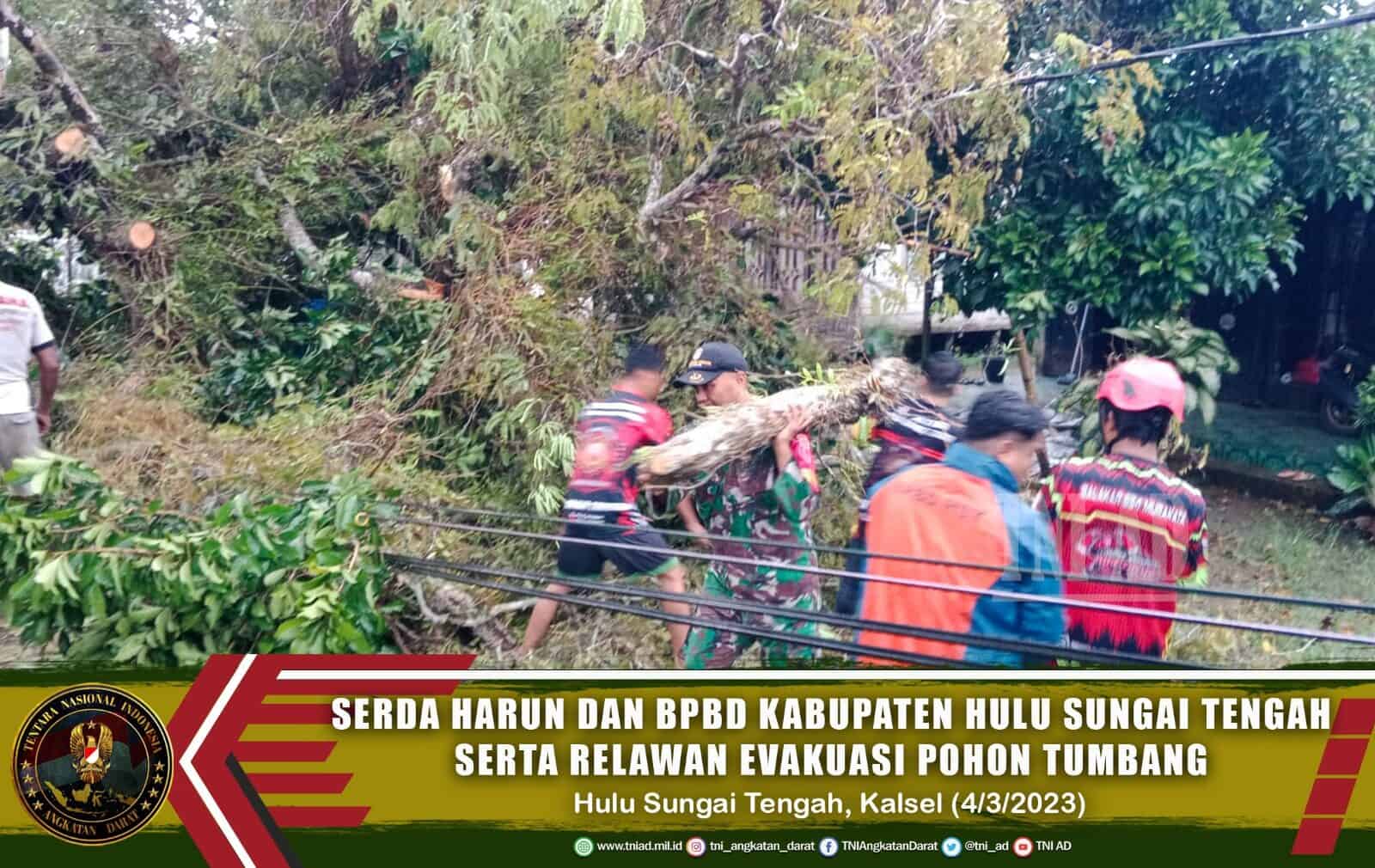Serda Harun dan BPBD Kabupaten Hulu Sungai Tengah Serta Relawan Evakuasi Pohon Tumbang.