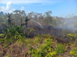 Prajurit Kodim 0303 Berjibaku Padamkan Kebakaran Lahan Gambut di Kecamatan Rupat