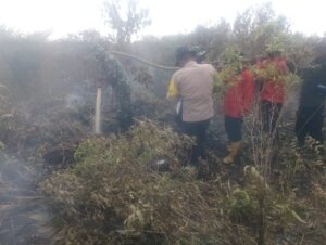 Prajurit Kodim 0303 Berjibaku Padamkan Kebakaran Lahan Gambut di Kecamatan Rupat