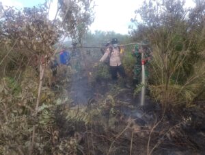Prajurit Kodim 0303 Berjibaku Padamkan Kebakaran Lahan Gambut di Kecamatan Rupat
