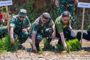 Pangkostrad Panen Jagung, Penanaman Simbolis Padi Japonica Rice dan Wijen Serta Resmikan Mess dan Gudang Hanpangan Kostrad