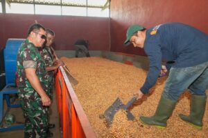 Pangkostrad Panen Jagung, Penanaman Simbolis Padi Japonica Rice dan Wijen Serta Resmikan Mess dan Gudang Hanpangan Kostrad