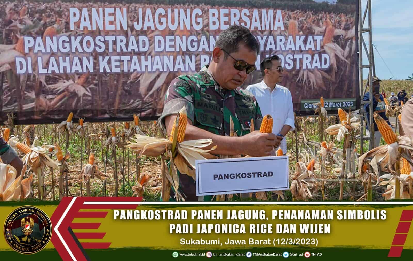 Pangkostrad Panen Jagung, Penanaman Simbolis Padi Japonica Rice dan Wijen Serta Resmikan Mess dan Gudang Hanpangan Kostrad