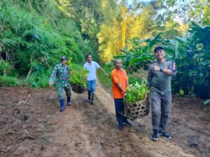 Dipimpin Danramil Banjar, 3.000 Pohon Mahoni Ditanam di Desa Gobleg