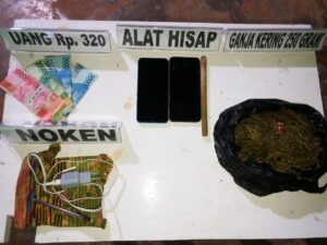 Satgas Pamtas Yonif 725/Woroagi Kembali Gagalkan Peredaran Ganja