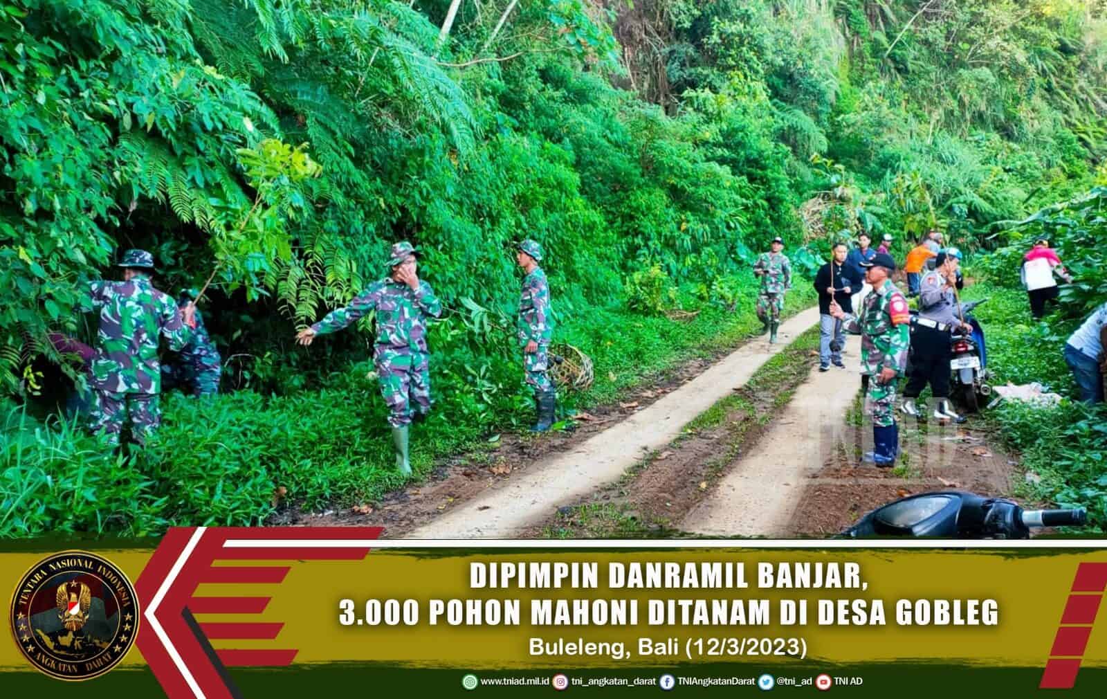 Dipimpin Danramil Banjar, 3.000 Pohon Mahoni Ditanam di Desa Gobleg