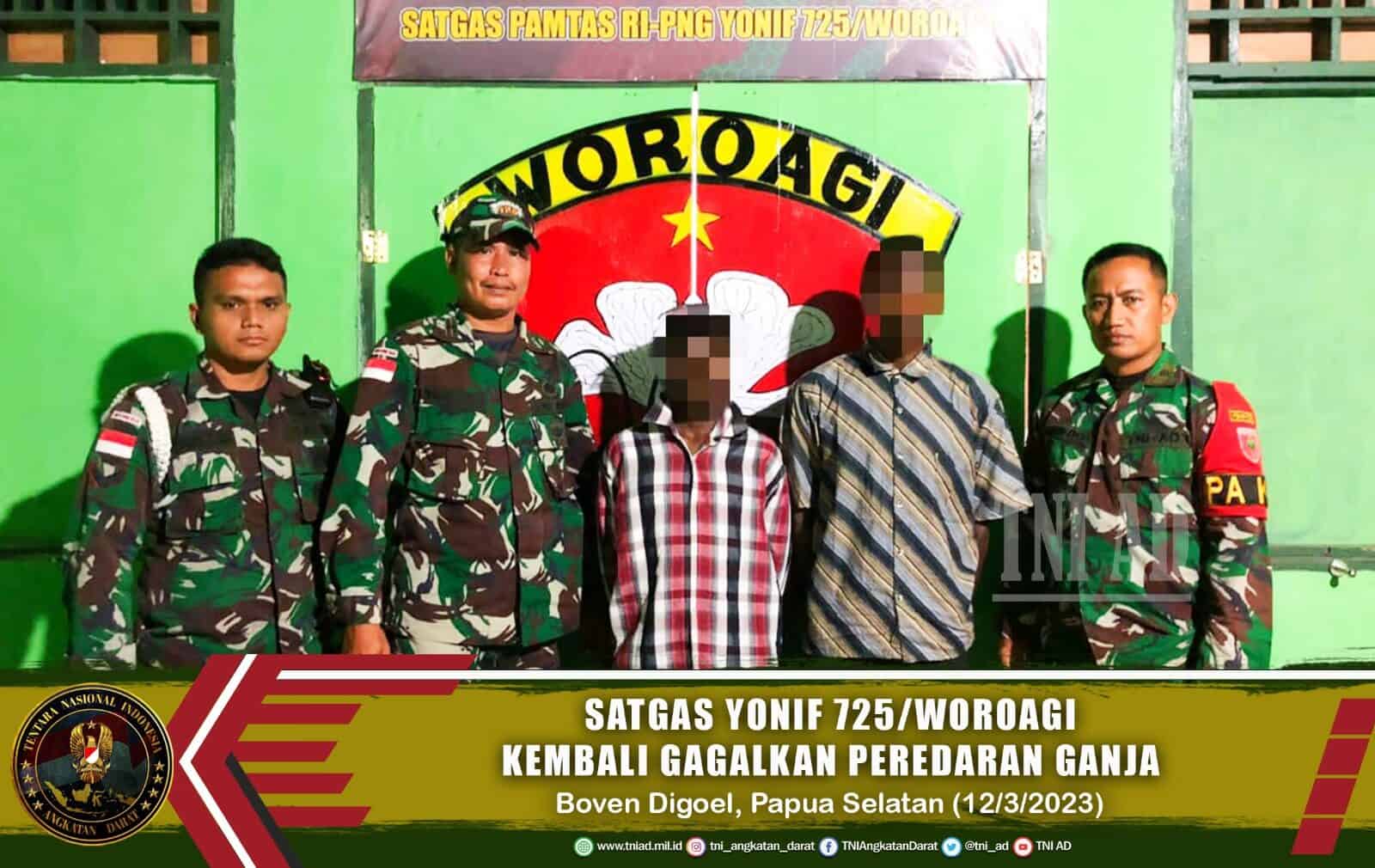 Satgas Pamtas Yonif 725/Woroagi Kembali Gagalkan Peredaran Ganja