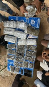 Sinergitas TNI-Polri dan Bea Cukai di Perbatasan Papua Berhasil Menggagalkan Penyelundupan 4,25 Kg Ganja