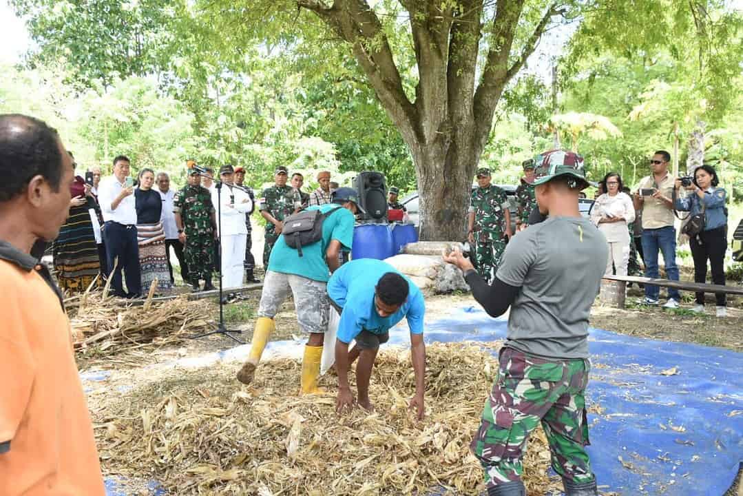 49 Hektar Lahan Dibangunkan, Gubernur NTT Apresiasi Panen Raya Jagung bersama Korem 161/WS