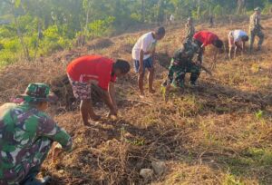 Manfaatkan Lahan Kosong, Satgas Yonif 143/TWEJ Ajak Pemuda Buat Lumbung Pangan Di Papua