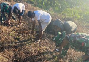 Manfaatkan Lahan Kosong, Satgas Yonif 143/TWEJ Ajak Pemuda Buat Lumbung Pangan Di Papua