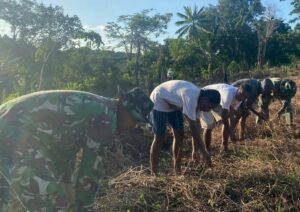 Manfaatkan Lahan Kosong, Satgas Yonif 143/TWEJ Ajak Pemuda Buat Lumbung Pangan Di Papua