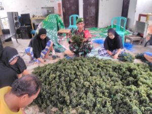 Kodim 1424/Sinjai Sukseskan Ketahanan Pangan Budidaya Rumput Laut di Kabupaten Sinjai