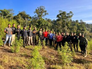 Personel Gabungan Korem 012/TU Menemukan Ladang Ganja 8,9 Hektar