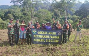 Tingkatkan Ketahanan Pangan Satuan Jajaran Kodim 0410/KBL Kembali Bertani Jagung