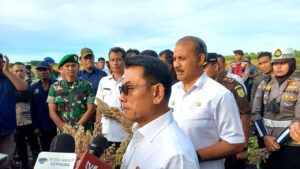 Dampingi Kepala Staf Kepresidenan RI, Dandim Sumba Timur Turut Panen Raya Sorgum di Pandawai