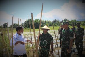 Danrem Gandeng Forkopimda Labuha Galakkan Ketahanan Pangan dan UMKM