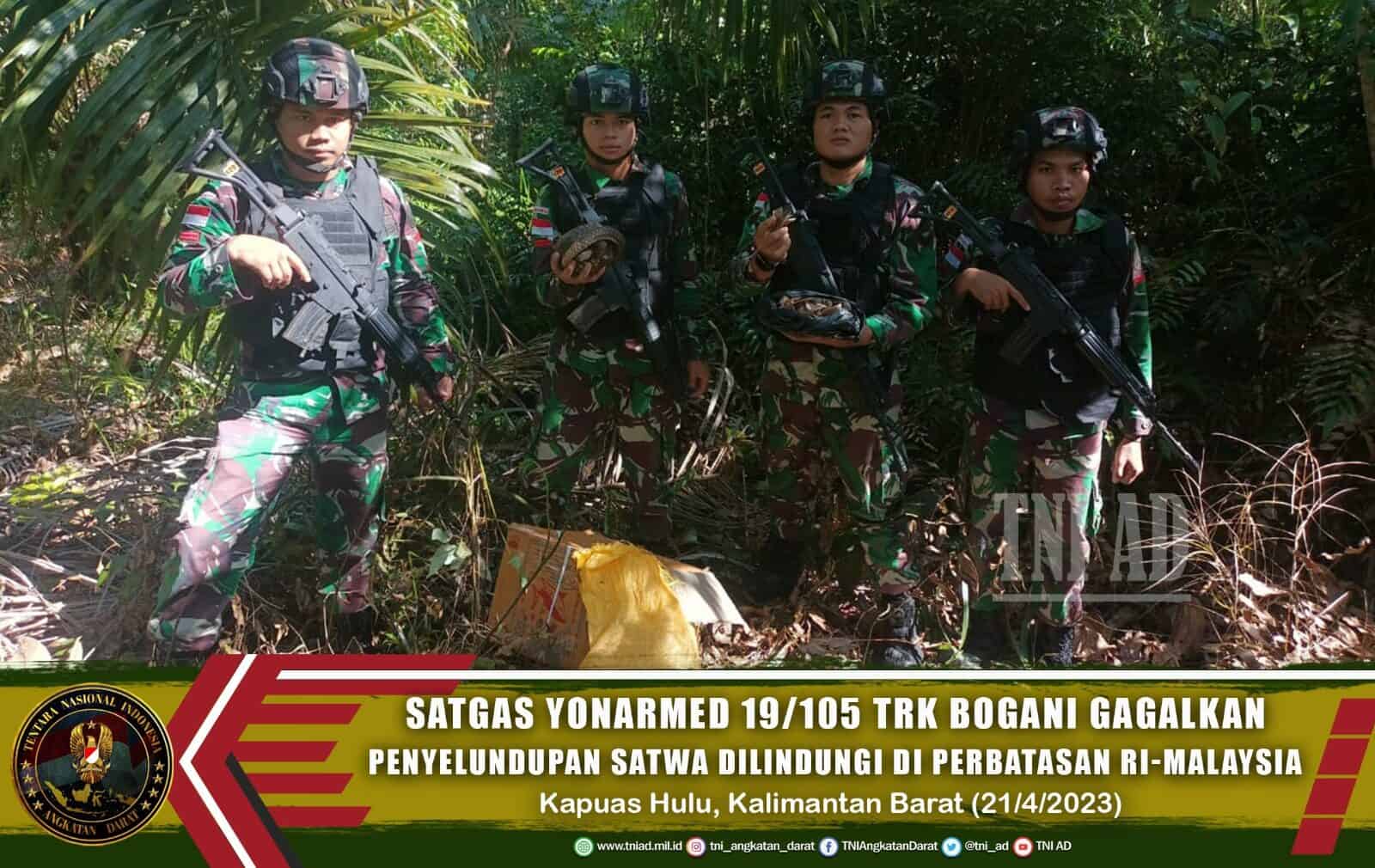 Satgas Yonarmed 19/105 Trk Bogani Gagalkan Penyelundupan Satwa Dilindungi di Perbatasan RI-Malaysia