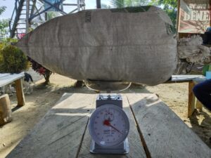 5,4 Kilogram Ganja Berhasil Diamankan Satgas Pamtas Yonif 132/BS di Perbatasan RI-PNG