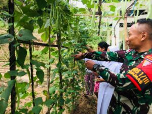 Satgas Yonkav 10/Mendagiri Berbagi Hasil Panen Kebun Kepada Warga di Desa Manamas