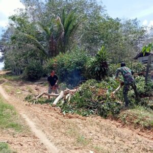 Sambut Aliran Listrik, Babinsa Koramil 04/Teweh Timur Bersama Warga Gotong Royong Bersihkan Pohon Di Desa Mampuak ll