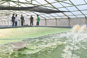 Kodim 0726/Sukoharjo Siapkan Kolam Budidaya Algae