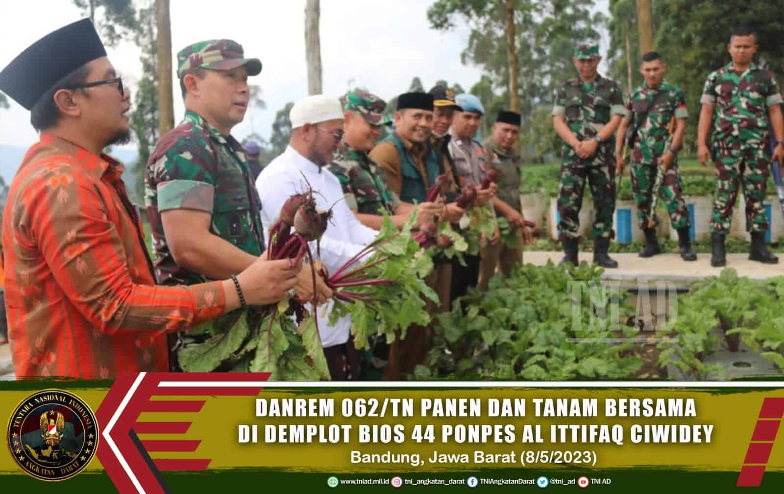 Danrem 062/Tn Panen Dan Tanam Bersama Di Demplot Bios 44 Ponpes Al Ittifaq Ciwidey Kab. Bandung