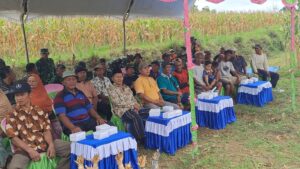 Dandim Grobogan Panen Raya Jagung Bersama Fokopimcam Dan Masyarakat