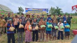 Dandim Grobogan Panen Raya Jagung Bersama Fokopimcam Dan Masyarakat