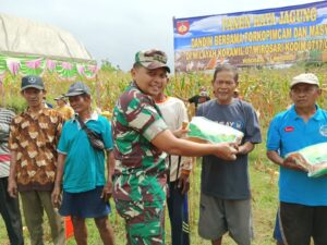 Dandim Grobogan Panen Raya Jagung Bersama Fokopimcam Dan Masyarakat