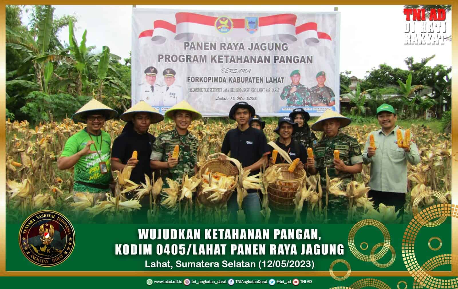 Wujudkan Ketahanan Pangan, Kodim 0405/Lahat Panen Raya Jagung