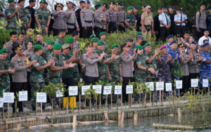 Kodam IX/Udayana Wilayah Bali-Nusra Tanam Ribuan Mangrove