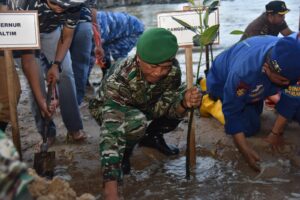 Pangdam VI/Mlw Ikuti Puncak Penanaman Mangrove Nasional Secara Serentak dari Pantai Lamaru
