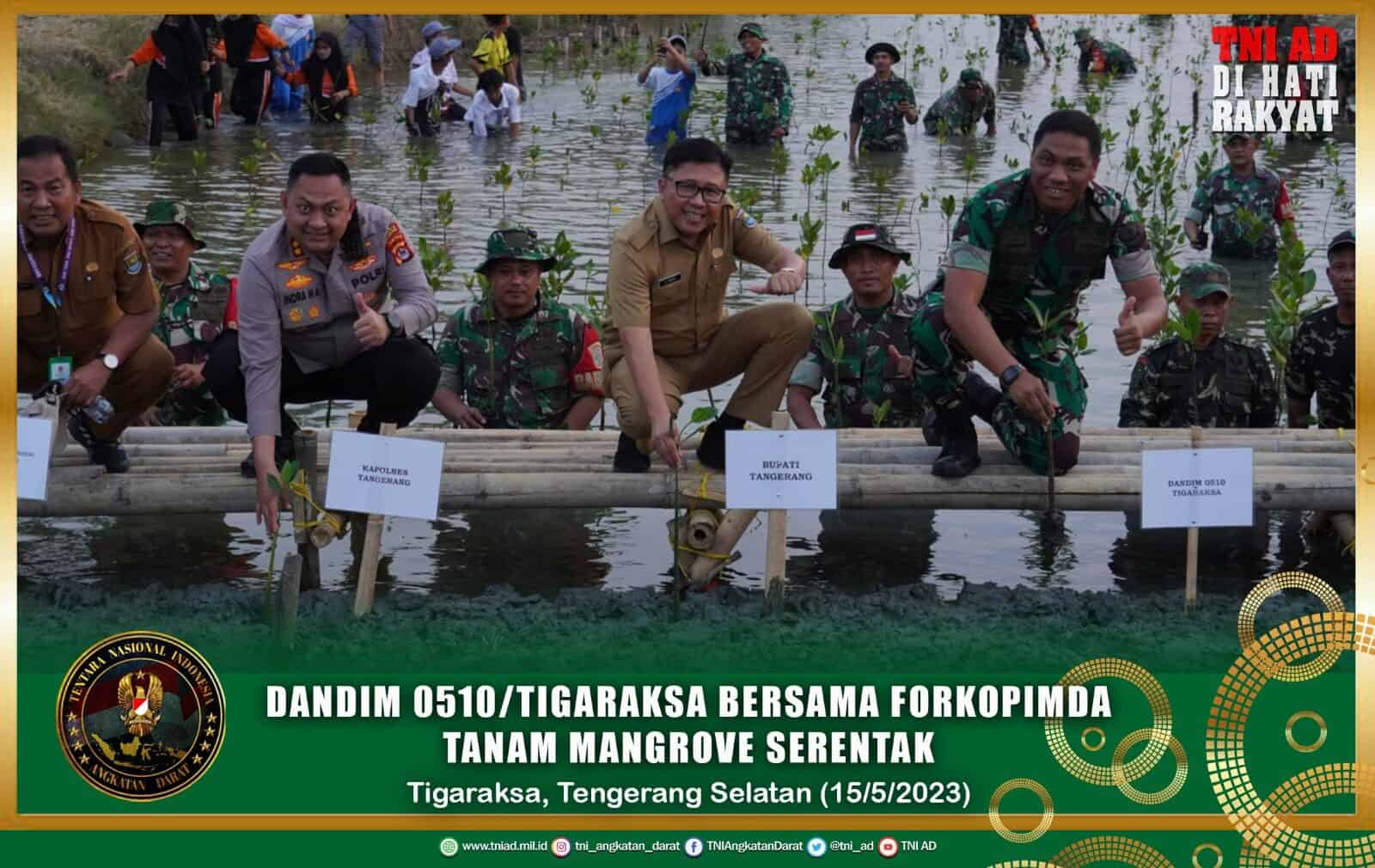 Dandim 0510/Tigaraksa Bersama Forkopimda Tanam 5000 Bibit Mangrove