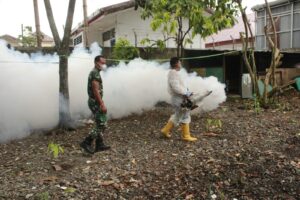 Cegah Berkembangnya Nyamuk, Kodim 0108/Agara Laksanakan Fogging