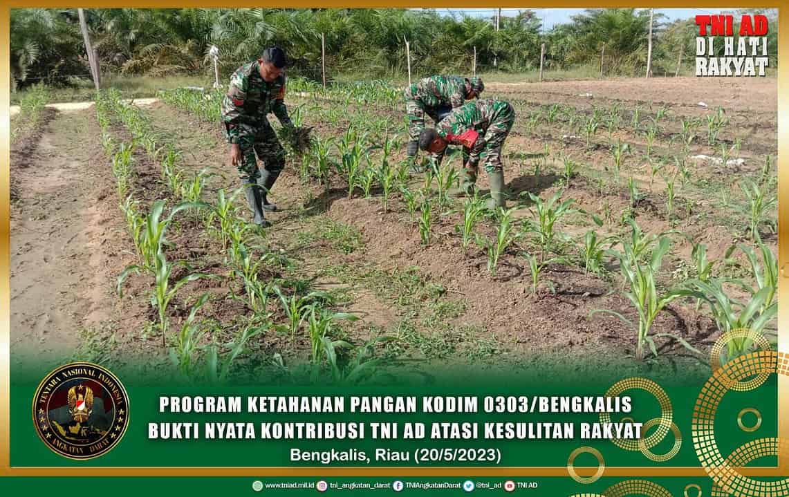 Konsep Otomatis