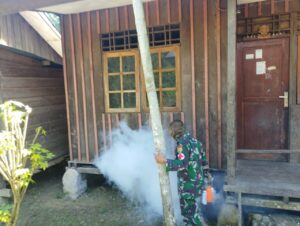Satgas Yonif 143/TWEJ Cegah Penyebaran Malaria Dipedalaman Papua
