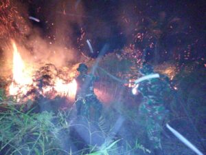 Prajurit Kodim Bengkalis Berjibaku Padamkan Kebakaran Lahan di Kecamatan Rangsang Pesisir
