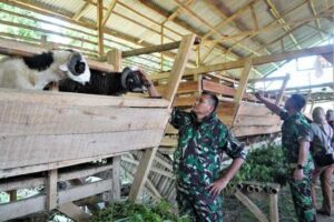 Inovasi Mesin Pengolah Air Kodam III/Siliwangi, Solusi Multi Fungsi Untuk Masyarakat