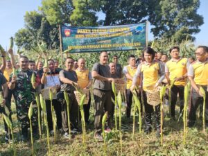 Kodim 0705 dan Polres Magelang Kota Olahraga Serta “Panen Jagung Bersama” Dukung Ketahanan Pangan