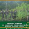 Gagalkan Indikasi Pelanggaran di Tapal Batas, Satgas Yonif 725/Wrg dan Bea Cukai Merauke Temukan Ladang Ganja