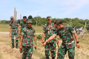 Dandim 0105/Abar Bersama Danrem 012/TU Dampingi Kapok Sahli Pangdam IM Tinjau Lahan Tanaman Jagung Program I'M Jagong