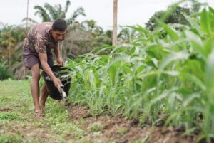 Kapoksahli Pangdam IM Apresiasi Teuku Umar Farm Korem 012/TU