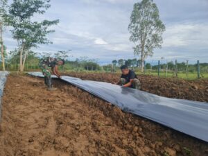 Tingkatkan Kesejahteraan Masyarakat, Satgas Yonif 125/Smb Rubah Semak Belukar Jadi Lahan Pertanian