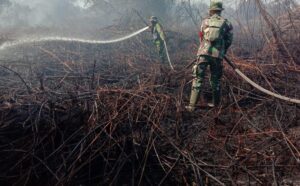 Personel Kodim 0303/Bengkalis Berjibaku Padamkan Karhutla di Empat Lokasi