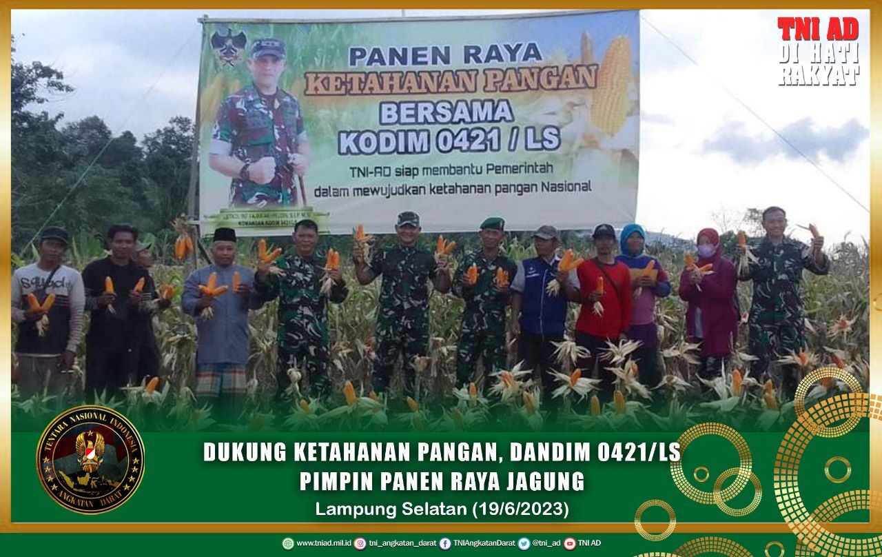 Dukung Ketahanan Pangan, Dandim 0421/LS Pimpin Panen Raya Jagung