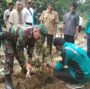 Peduli Lingkungan, Babinsa Koramil 07/Batu Benawa Bersama PLN UP3 Barabai Tanam Pohon