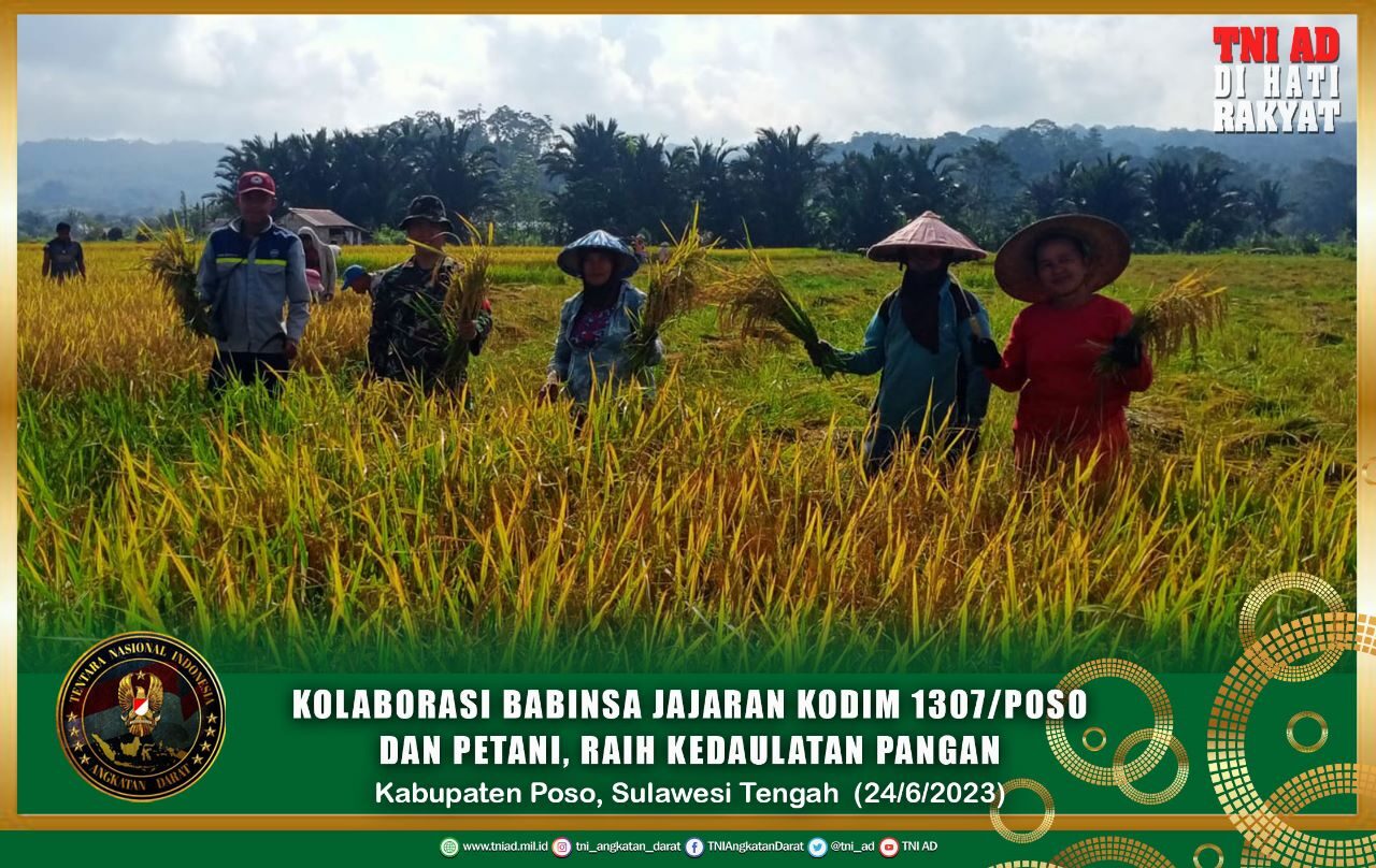 Kolaborasi Babinsa Jajaran Kodim 1307/Poso dan Petani, Raih Kedaulatan Pangan