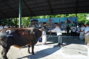 Pangdam XIV/Hsn Serahkan Puluhan Hewan Qurban, Harap Beri Kebahagiaan Pada Masyarakat Sekitar